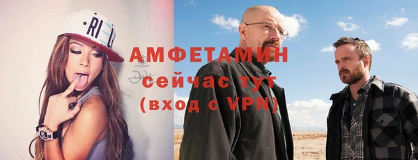 молекула духа Богородск