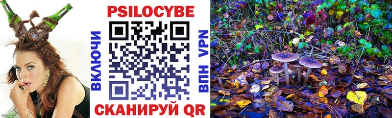 Псилоцибиновые грибы прущие грибы купить сайты Когалым